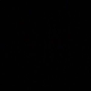 Meet your Posher, Jesse